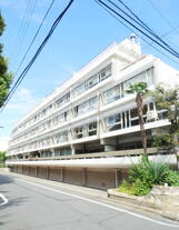 ビラフェニックス