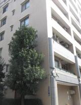 クリオ中板橋壱番館