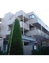 コートガーディニア